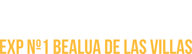 Pie de página